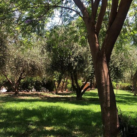 Palmeraie Village 2 - Cosi Appartement En Rez De Jardin Marrakesh Ngoại thất bức ảnh