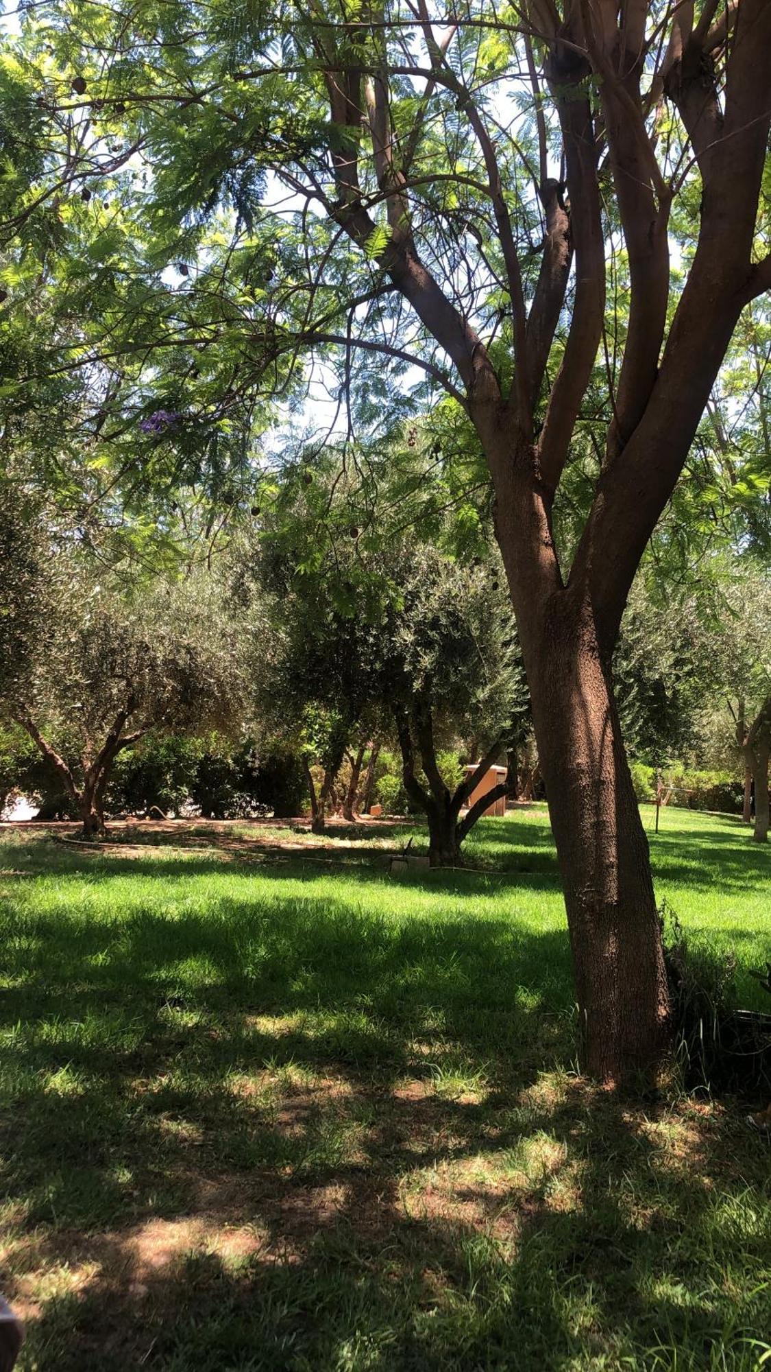 Palmeraie Village 2 - Cosi Appartement En Rez De Jardin Marrakesh Ngoại thất bức ảnh
